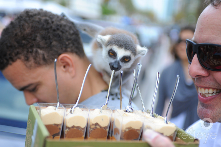 Sugar Addicts BEWARE: Get That Monkey Off Your Back