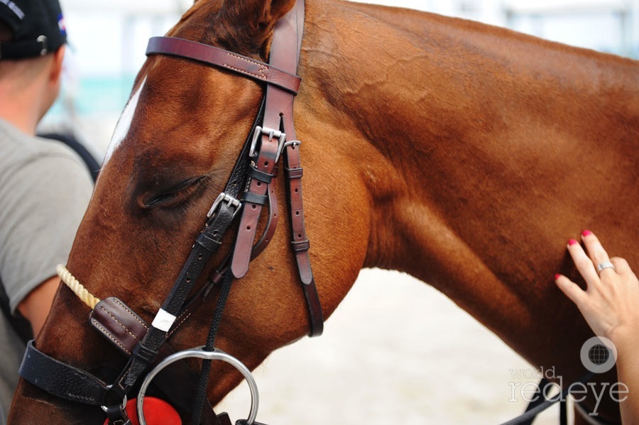 Miami Beach Polo World Cup – day 3