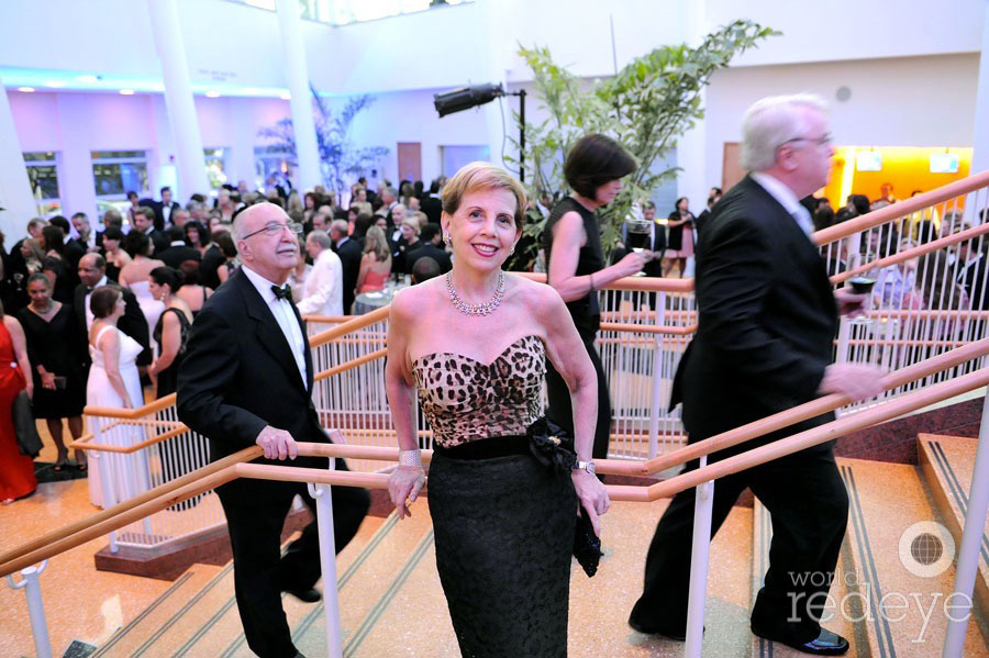 2013 Adrienne Arsht Center Gala