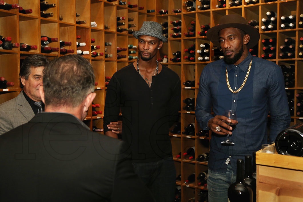 5-Chris Bosh & Amar'e Stoudemire2