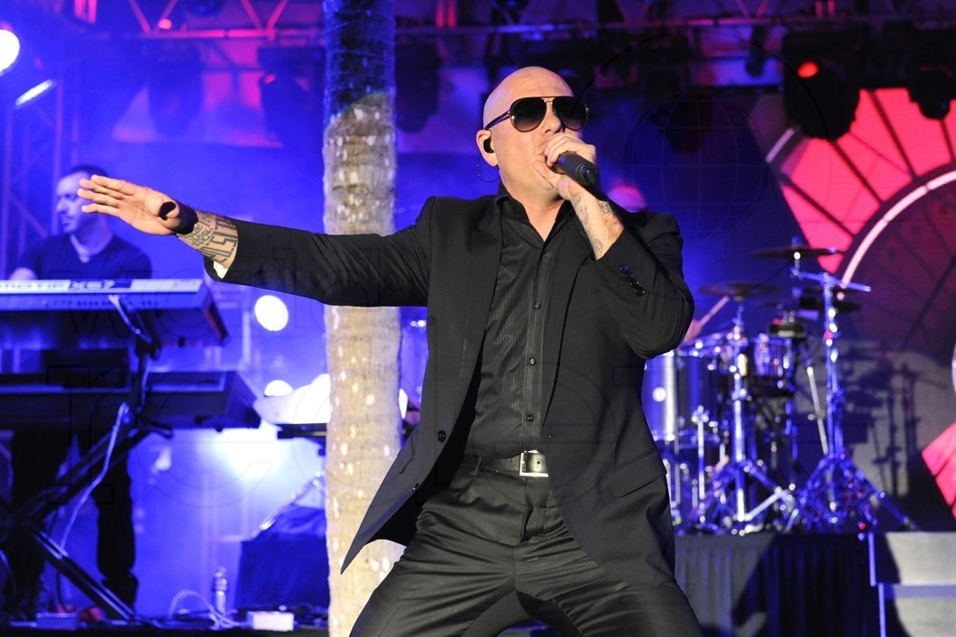 128-Pitbull