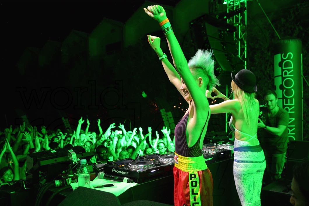 41-Nervo11